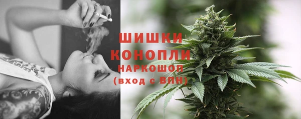 дмт Белокуриха