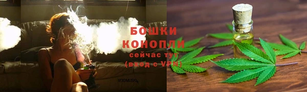 дмт Белокуриха