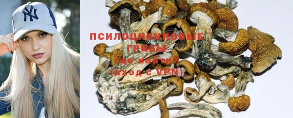 дмт Белокуриха